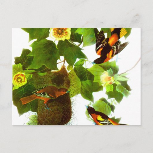 Vintager Frühlingstag - Vögel und Blume Postkarte (Vorderseite)