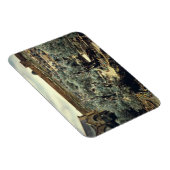 Vintager Garten Gethsemane Jerusalem Israel Magnet (Rechte Seite)