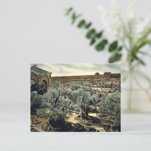 Vintager Garten Gethsemane Jerusalem Israel Postkarte (Stehend Vorderseite)