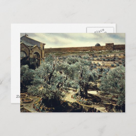 Vintager Garten Gethsemane Jerusalem Israel Postkarte (Vorne/Hinten)