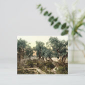 Vintager Garten von Gethsemane Jerusalem Israel 18 Postkarte (Stehend Vorderseite)