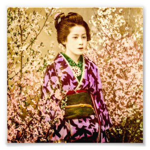 Vintager Geisha, der in den Kirschblüten aufwirft Fotodruck