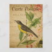 Vintager Gelbbvogel Postkarte (Vorderseite)