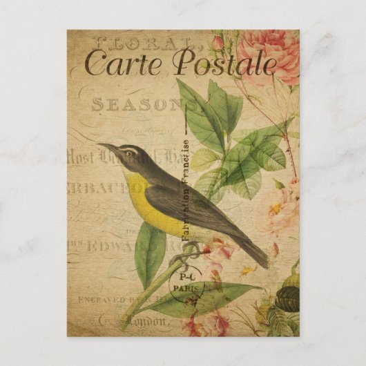 Vintager Gelbbvogel Postkarte (Vorderseite)