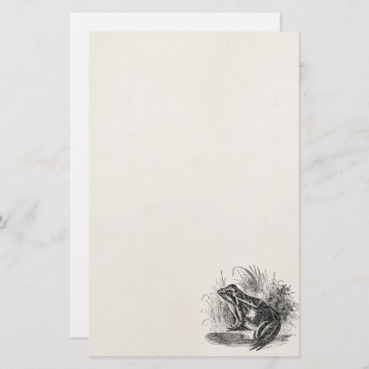 Vintager gemeiner Frosch - Briefpapier (Vorne/Hinten)