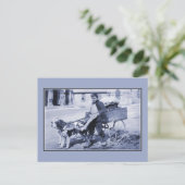 Vintager Gemüsehändler und Hundekarren Postkarte (Stehend Vorderseite)