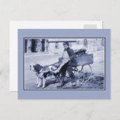 Vintager Gemüsehändler und Hundekarren Postkarte (Vorne/Hinten)