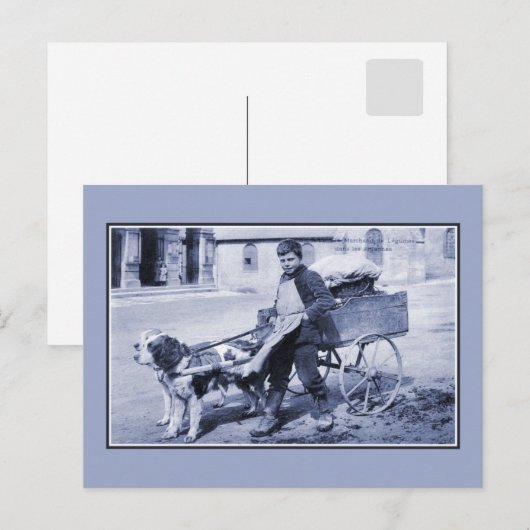 Vintager Gemüsehändler und Hundekarren Postkarte (Vorne/Hinten)