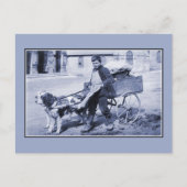 Vintager Gemüsehändler und Hundekarren Postkarte (Vorderseite)