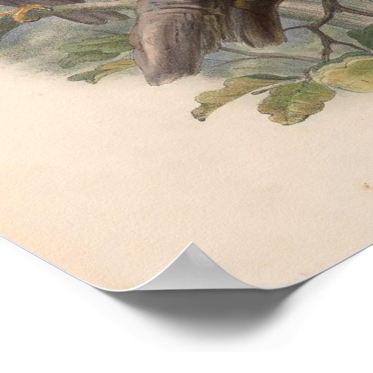 Vintager Gepunkteter Adlervogel Poster (Ecke)