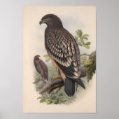 Vintager Gepunkteter Adlervogel Poster (Vorne)