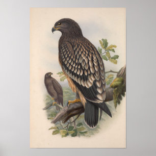 Vintager Gepunkteter Adlervogel Poster
