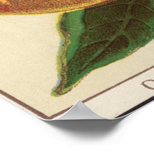 Vintager Geschmack Extract Werbeplakat Poster (Ecke)