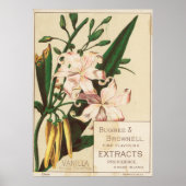 Vintager Geschmack Extract Werbeplakat Poster (Vorne)