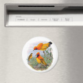 Vintager Goldener Vogel des Paradieses Magnet (In Situ (Geschirrspüler))
