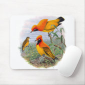 Vintager Goldener Vogel des Paradieses - Mousepad (Mit Mouse)