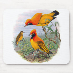 Vintager Goldener Vogel des Paradieses - Mousepad