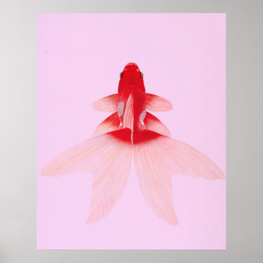Vintager Goldfisch Wallart Poster (Vorne)