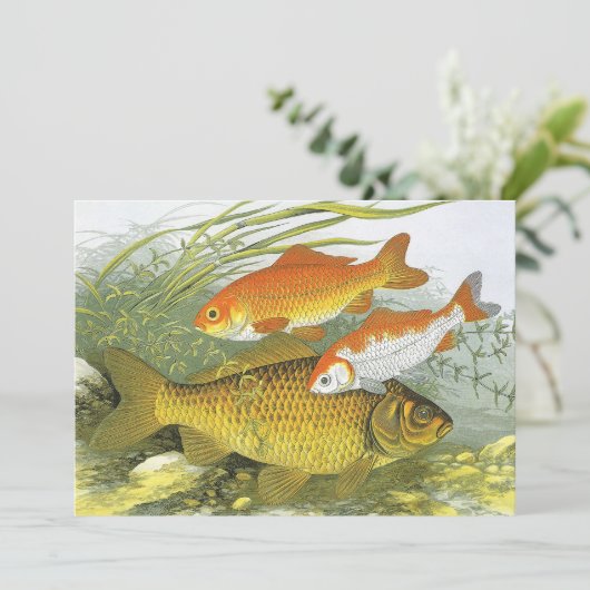 Vintager Goldfish Koi Fisch, Meeresaquatische See  Einladung (Stehend Vorderseite)