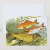 Vintager Goldfish Koi Fisch, Meeresaquatische See  Einladung (Vorne/Hinten)
