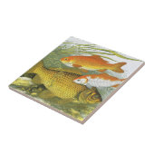 Vintager Goldfish Koi Fisch, Meeresaquatische See  Fliese (Seite)