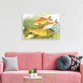 Vintager Goldfish Koi Fisch, Meeresaquatische See Leinwanddruck (Insitu (Wohnzimmer))