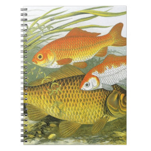 Vintager Goldfish Koi Fisch, Meeresaquatische See Notizblock