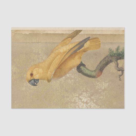 Vintager Goldpapagei Seidenpapier (Vorderseite)