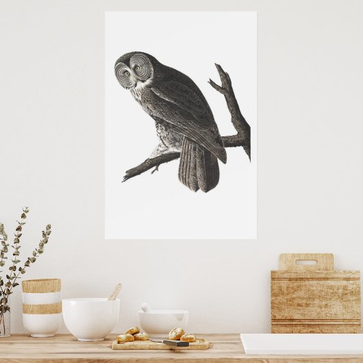 Vintager Großer Cinerous Owl Illustrationsdruck Poster (Küche)