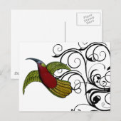 Vintager Grün- und Rothalbvogel Postkarte (Vorne/Hinten)