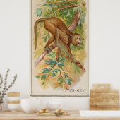 Vintager grüner Affe der Barbados-Illustration Poster (Küche)