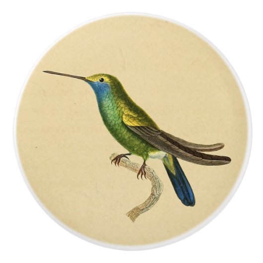 Vintager grüner Hummingbird-Schubladen Keramikknauf (Vorderseite)
