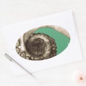 Vintager grüner Oktopus Tentacle Ovaler Aufkleber (Umschlag)