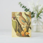 Vintager grüner Spechte Postkarte (Stehend Vorderseite)