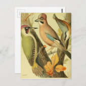 Vintager grüner Spechte Postkarte (Vorne/Hinten)
