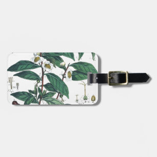 Vintager grüner Tee-botanischer Druck Gepäckanhänger