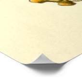 Vintager Haeckel-Oversifizierter Oktopus Poster (Ecke)