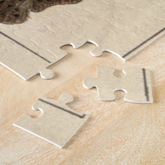 Vintager Haifischdiagramm (1901) Puzzle (Seite)