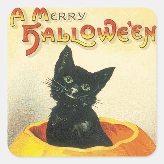 Vintager Halloween-Katzenaufkleber Quadratischer Aufkleber (Vorderseite)
