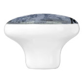 Vintager Halloween-Schädel und -Klaue anpassen Keramikknauf (Seitenansicht)