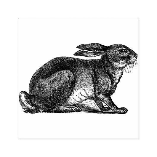 Vintager Hase Gummistempel (Prägung)