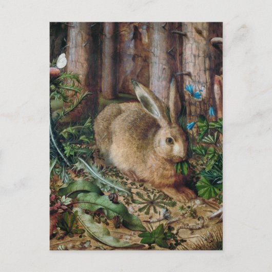 Vintager Hase im Wald - Hans Hoffmann Postkarte (Vorderseite)