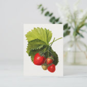 Vintager Haufen Erdbeeren Aquarellmalerei Postkarte (Stehend Vorderseite)