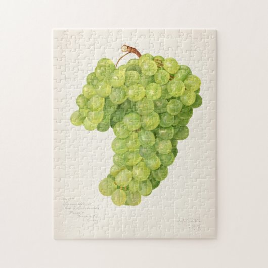 Vintager Haufen grüner Trauben Puzzle (Vertikal)