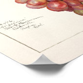 Vintager Haufen roter Trauben Fruchtanstrich Poster (Ecke)