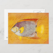 Vintager Hawaiianenfisch - Antique Hawaii Postkarte (Vorne/Hinten)