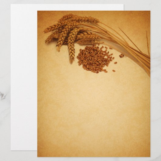 Vintager Herbstweizenmais - Letterhead-Geschirr (Vorne/Hinten)