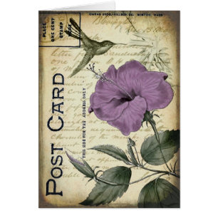 Vintager Hibiskus-Kolibri