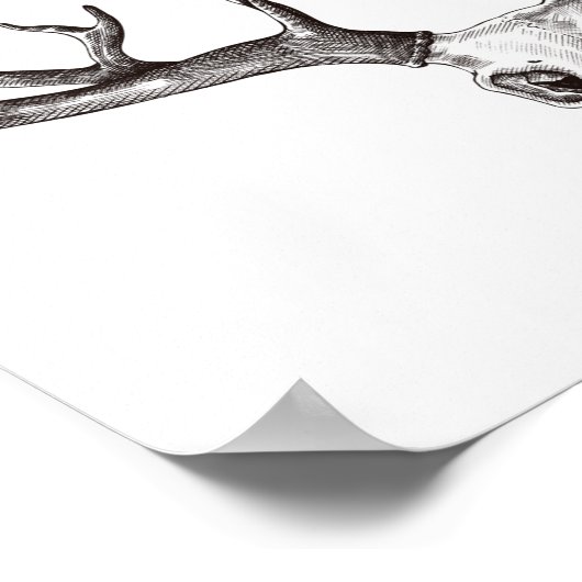 Vintager Hirschschädel/Antler Poster (Ecke)