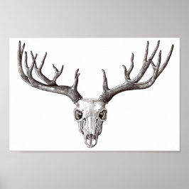 Vintager Hirschschädel/Antler Poster